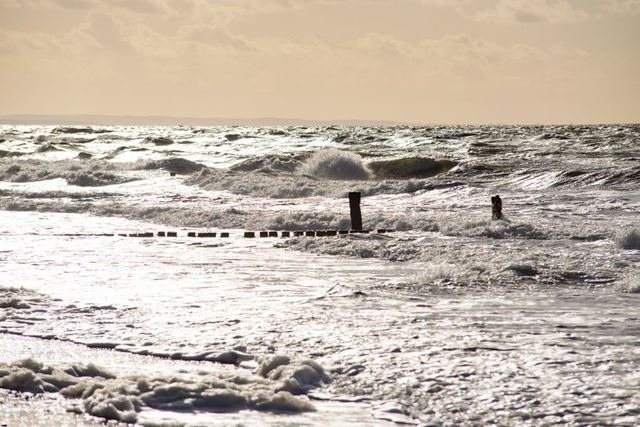 Ferienwohnung in Graal-M&uuml;ritz - Stranddistel - Bild 16
