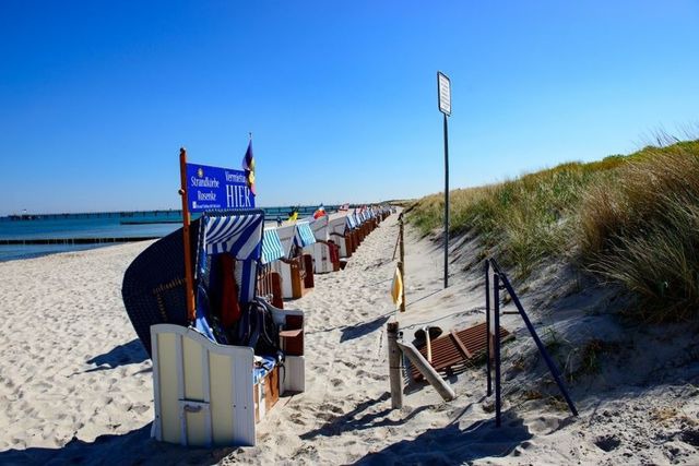 Ferienwohnung in Graal-M&uuml;ritz - Stranddistel - Bild 19