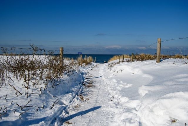 Ferienwohnung in Graal-M&uuml;ritz - Stranddistel - Bild 25