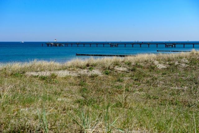 Ferienwohnung in Graal-M&uuml;ritz - Weinrose - Bild 24