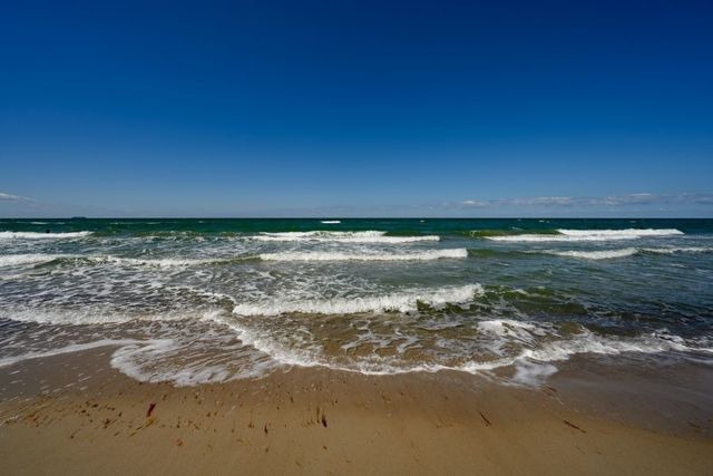 Ferienwohnung in Graal-M&uuml;ritz - Strandnelke - Bild 25