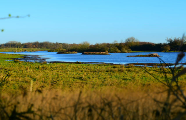 Ferienhaus in Gelting - Paulsen H&auml;uschen - Schloss Gelting - Bild 19