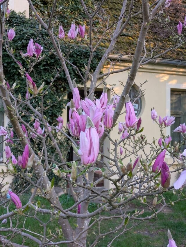 Ferienwohnung in Carinerland - Wagen am Rande der Welt - Bild 23
