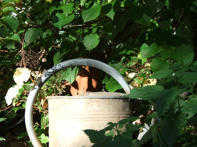 Ferienhaus in Carinerland - Scheune Landliebe in Holz und Lehm - Bild 15