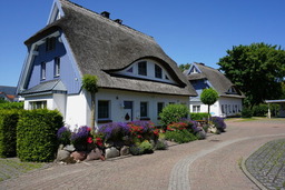 Kranich