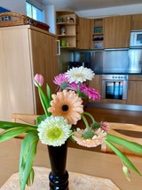 Ferienwohnung in Zingst - Sunshine - Bild 22