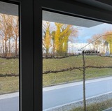 Ferienwohnung in Zingst - Seestra&szlig;e 70, Ap. 30 - Bild 10