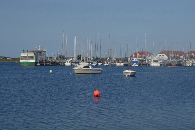 Ferienwohnung in Rerik - Zwergm&ouml;we - Marina