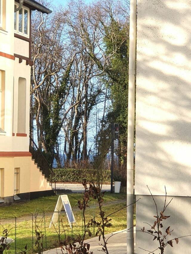 Ferienwohnung in K&uuml;hlungsborn - 10113- Villa Camenia, WE 1 - Bild 9