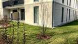 Ferienwohnung in K&uuml;hlungsborn - 10113- Villa Camenia, WE 1 - Bild 11
