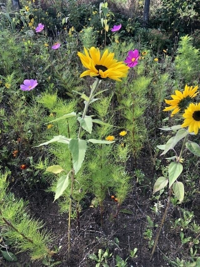 Ferienwohnung in Steinbeck - MP 1 Ankerplatz - Bild 14