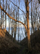 Ferienhaus in Steinbeck - MP 9 Villa - Bild 12