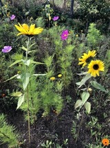 Ferienhaus in Steinbeck - MP 9 Villa - Bild 18
