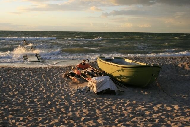 Ferienwohnung in Born a. Darß - Ferienwohnung Nr. 06 (EG) - Bild 20