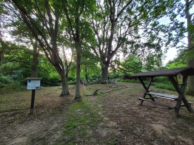 Ferienhaus in L&uuml;tow - Ostsee Ferienhaus Usedom (hundefreundlich) Familie Stopp Haus 22 - Bild 20