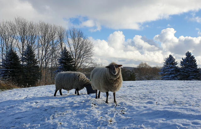 Ferienwohnung in Hornstorf OT R&uuml;ggow - Quaduxenbarg TAB 400 - Bild 18