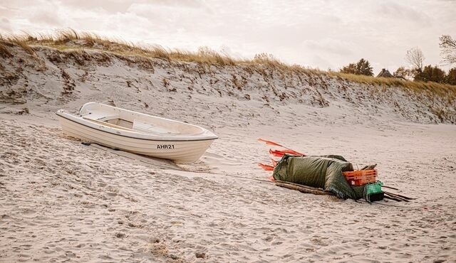 Ferienwohnung in Ahrenshoop - Strandm&ouml;we - Bild 8