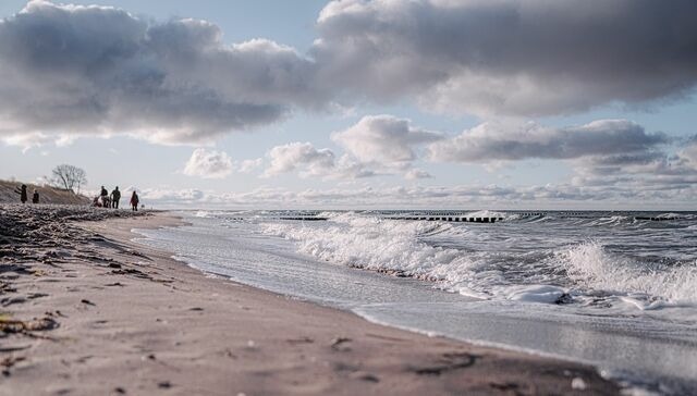 Ferienwohnung in Ahrenshoop - Seeschwalbe - Bild 8