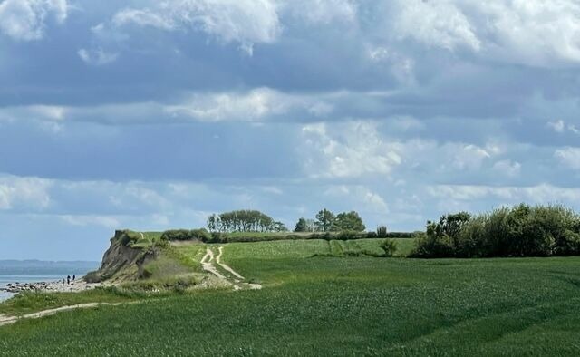 Ferienwohnung in Brodersby - Strand Ferien, Ostsee Urlaub, Ferienwohnung am Strand in Schlei N&auml;he , Umgebung von Kappeln u. Damp - Bild 14