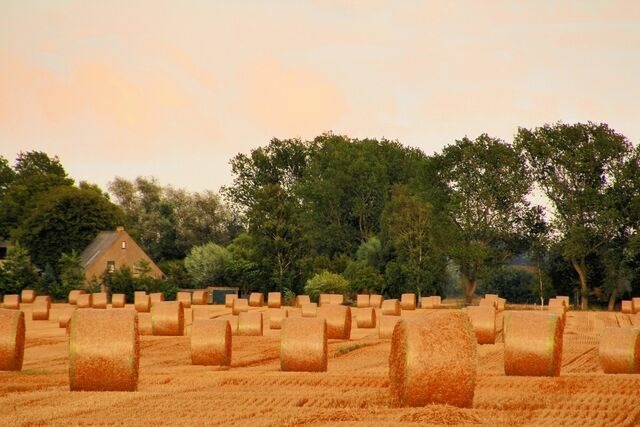Ferienwohnung in B&ouml;rgerende-Rethwisch - Ferienwohnung Arne - Bild 14