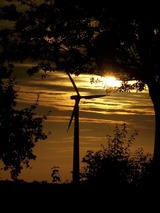 Ferienwohnung in B&ouml;rgerende-Rethwisch - Ferienwohnung Arne - Bild 19