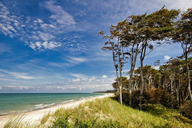 Ferienhaus in Baabe - Dwarsloeper - Baabe - Bild 22