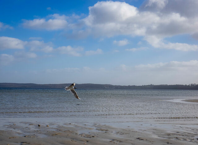 Ferienhaus in Gl&uuml;cksburg - Ferienhaus "Blaue Blume" - Bild 19