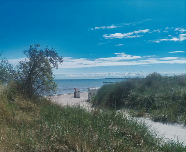 Ferienwohnung in Gro&szlig;enbrode - Meerblick 12 - Gro&szlig;enbrode - Bild 13