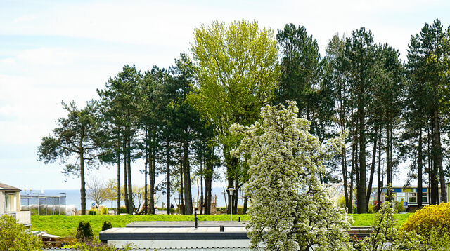 Ferienwohnung in Gr&ouml;mitz - Haus Meeresbrise - Whg. 6 - Bild 18