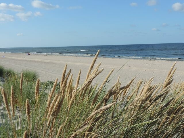 Ferienwohnung in L&uuml;tow - Zeit f&uuml;r Erholung, Ferienhaus A&C Prudlo, Usedom - Bild 23