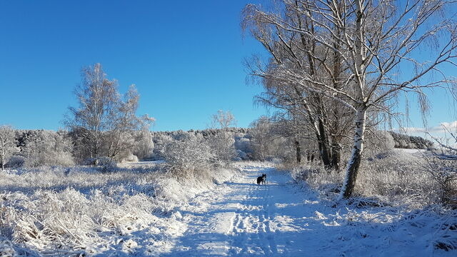 Ferienwohnung in Lauterbach - K&uuml;stenKind - Bild 21