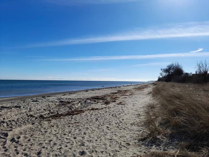 Ferienwohnung in &Ouml;lendorf - Reetdach-Kate West - Strand Ostermade