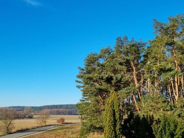 Ferienwohnung in L&uuml;tow - Ferienhaus K&ouml;hler Am Walde , Urlaub mit Hund - Bild 12