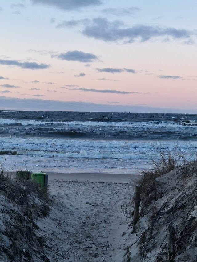 Ferienwohnung in L&uuml;tow - Ferienhaus K&ouml;hler Am Walde , Urlaub mit Hund - Bild 14