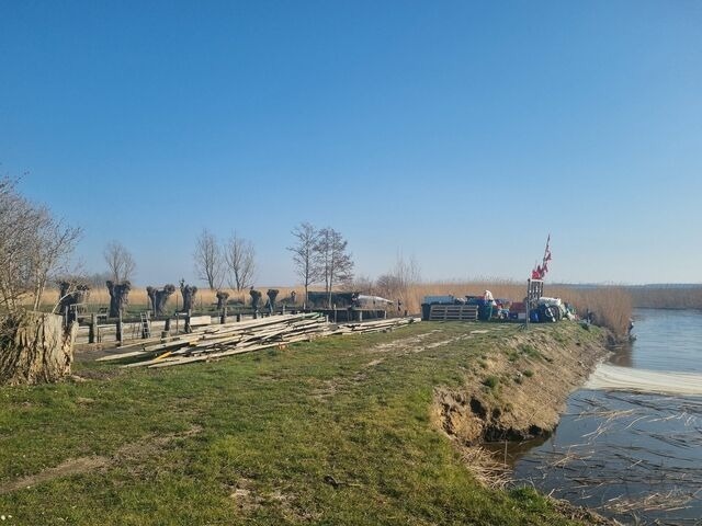 Ferienwohnung in L&uuml;tow - Ferienhaus K&ouml;hler Am Walde , Urlaub mit Hund - Bild 15