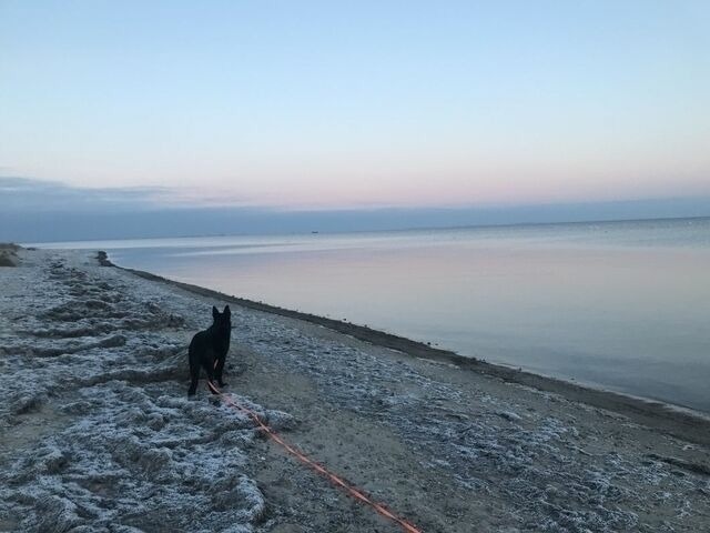 Ferienwohnung in Gahlkow - Strandperle 2 - Bild 14
