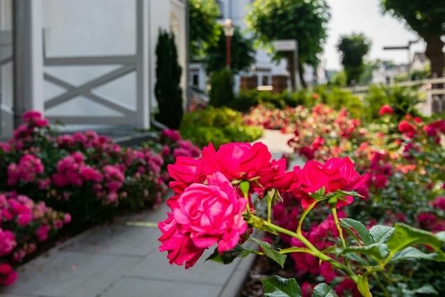 Ferienwohnung in Binz - Villa Iduna / Ferienwohnung No. 3 - EG mit Balkon nach S&uuml;den - Bild 19