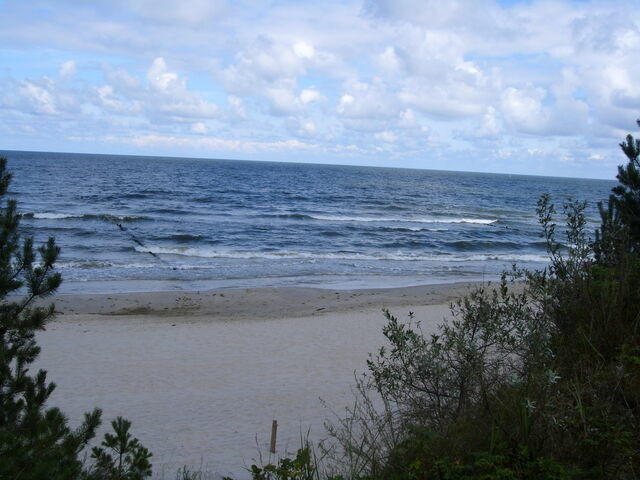 Einzelzimmer in Zempin - Ferienzimmer am Walde - Bild 14