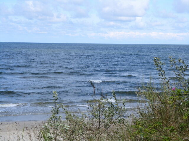 Einzelzimmer in Zempin - Ferienzimmer am Walde - Bild 16