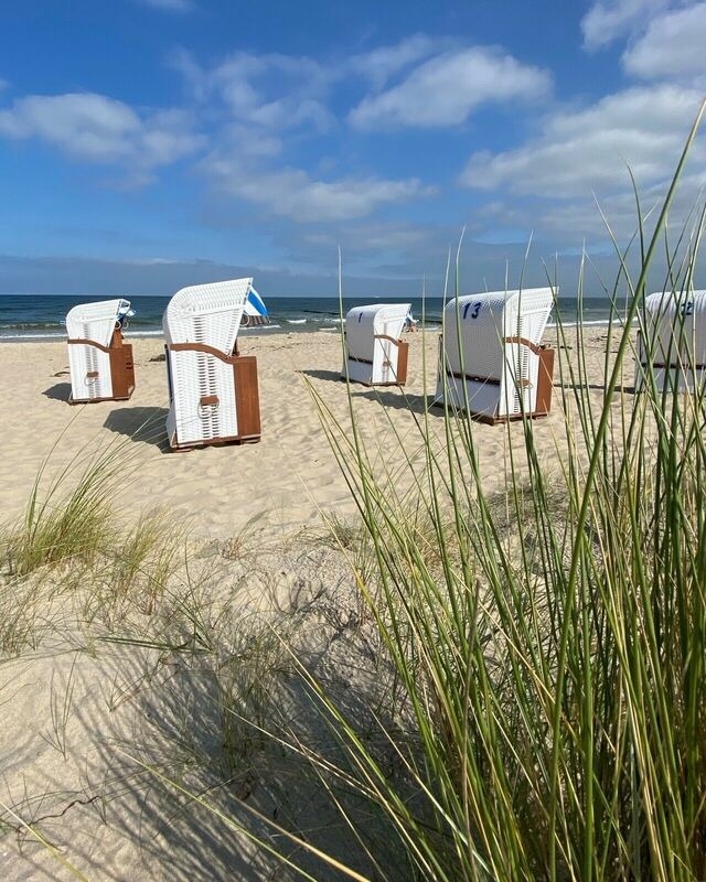 Ferienhaus in &Uuml;ckeritz - Strandl&auml;ufer - Bild 17