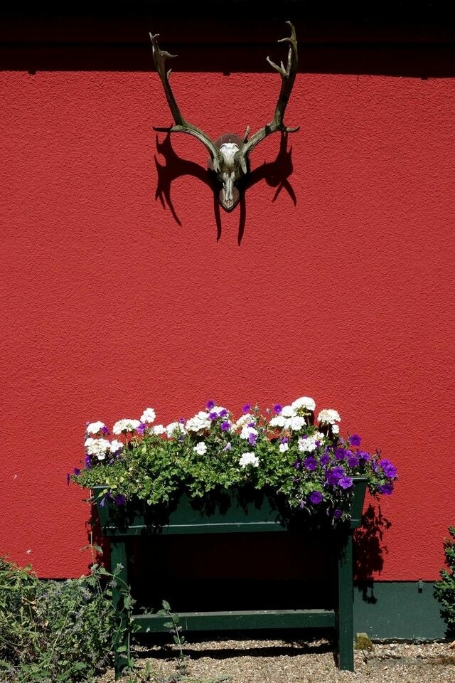 Ferienhaus in Nieby - F&ouml;rsterei - Schloss Gelting - Bild 18