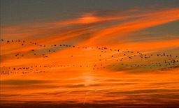 Ferienhaus zum Nordstrand