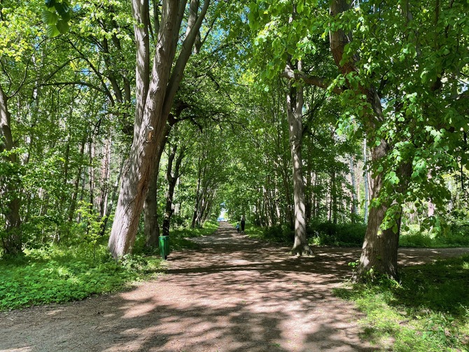Ferienwohnung in K&uuml;hlungsborn - Ferienwohnung Seebr&uuml;cke - Riviera K&uuml;hlungsborn - Bild 20