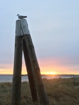Ferienwohnung in Scharbeutz - StrandVILLA Scharbeutz mit D&uuml;nenblick direkt am Strand - Bild 14