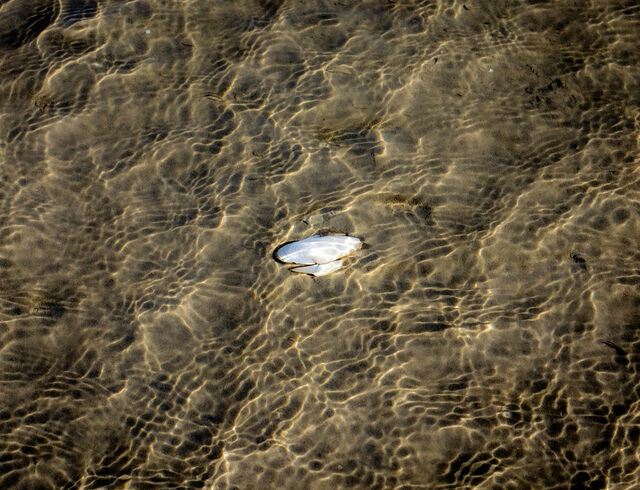 Ferienwohnung in Gl&uuml;cksburg - Ferienwohnung Gl&uuml;XX - Bild 22