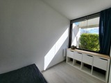 Ferienwohnung in Wendtorf - Strandl&auml;ufer - Bild 5