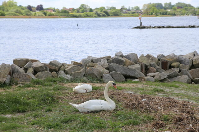 Ferienwohnung in Rabenkirchen-Faul&uuml;ck - Appartement Bea 1 - Bild 7