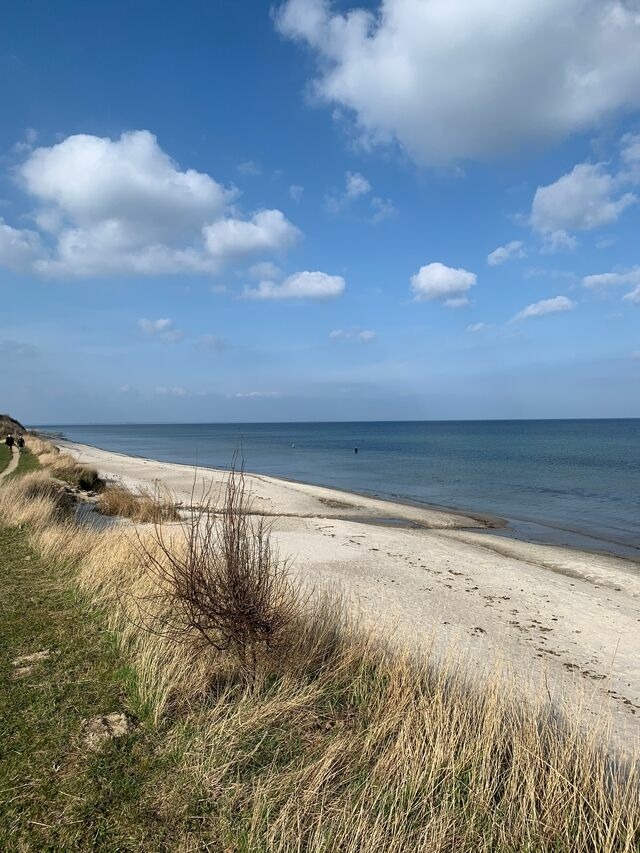 Ferienhaus in Hasselberg - Ferienhaus Knorrl&uuml;ck - Bild 21