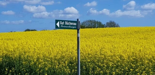 Ferienwohnung in Rieseby - Gut B&uuml;chenau - Ferienwohnung Meeresbrise - Bild 16