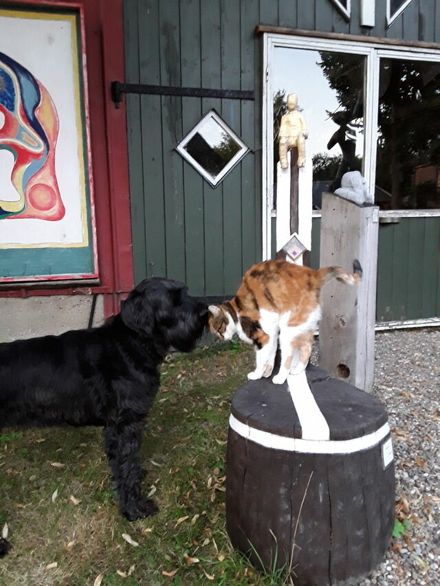 Ferienwohnung in Holzdorf - Ferienwohnung im Skulpturengarten Gr&uuml;nlund - Bild 21